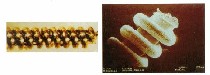 Bild 1 - Mikroelektronik